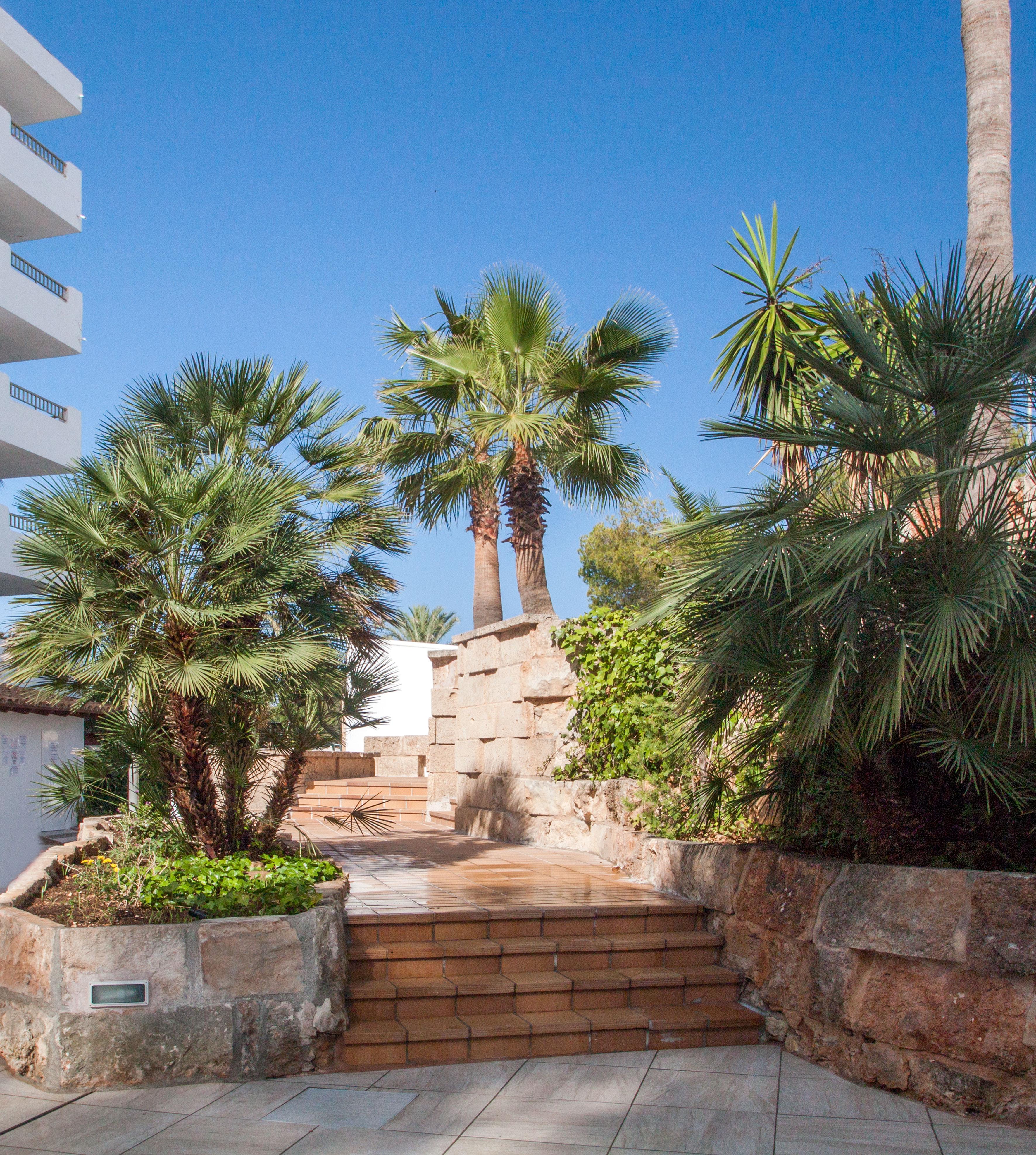 Globales Costa De La Calma Aparthotel Santa Ponsa Exterior photo